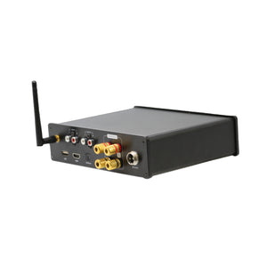 TIC AMP150 - Wifi (2e gen) en Bluetooth 5.0 versterker 2x100W