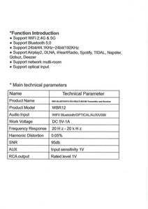 TIC WBR12 - Wifi (2nd gen) & Bluetooth 5.0 Transmitter & receiver