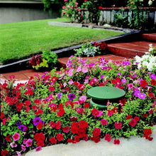 Carica l&#39;immagine nel visualizzatore di Gallery, GS3 - 8&quot; Outdoor Weather-Resistant Omnidirectional In-Ground Speaker